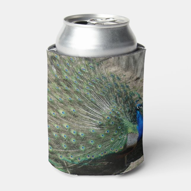 Beautiful Peacock Can Cooler (Can Front)