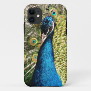 Beautiful Peacock Case-Mate iPhone Case