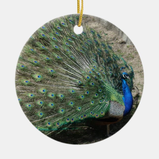 Beautiful Peacock Ceramic Tree Decoration (Front)