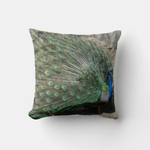 Beautiful Peacock Cushion