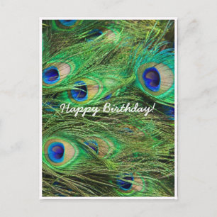 Beautiful Peacock Customisable Postcard