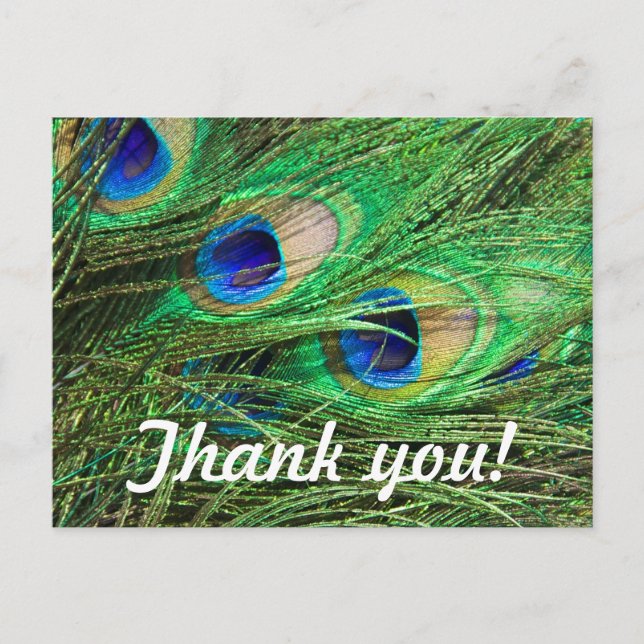 Beautiful Peacock Customisable Thank You Card (Front)