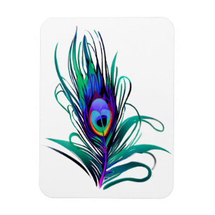 Beautiful Peacock Feather Magnet