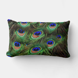 beautiful peacock feather throw pillow