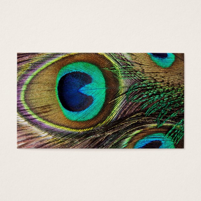 Beautiful Peacock Feathers (Front)