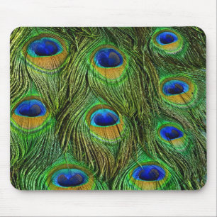Beautiful Peacock Feathers Mouse Pad