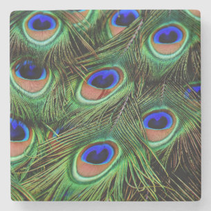 Beautiful Peacock Feathers Stone Coaster