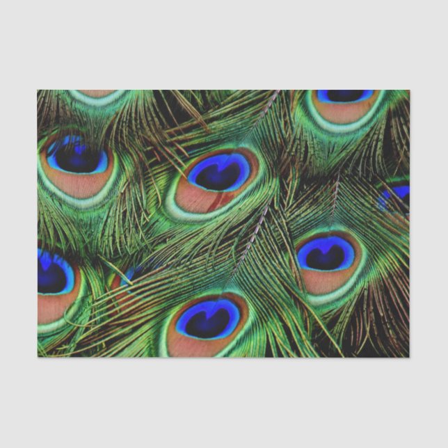 Beautiful Peacock Feathers  Tissue Paper (Front)