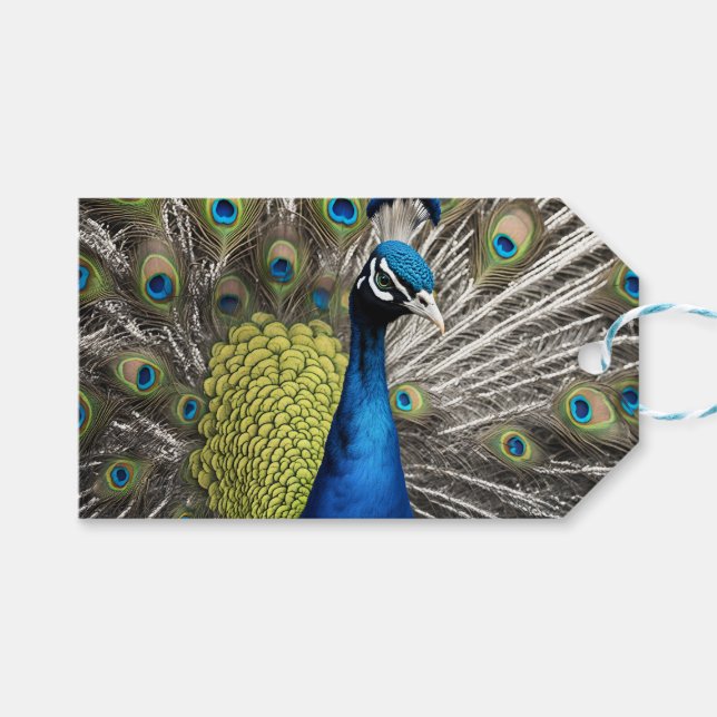 Beautiful Peacock Gift Tags (Front (Horizontal))