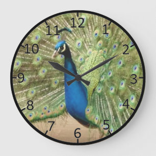 Beautiful Peacock Large Clock