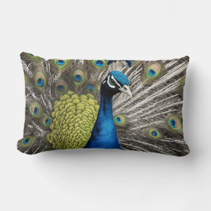 Beautiful Peacock Lumbar Cushion