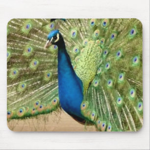 Beautiful Peacock Mouse Pad