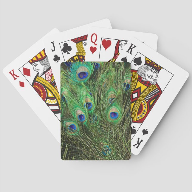 Beautiful Peacock Playing Cards (Back)