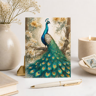 Beautiful Peacock Postcard