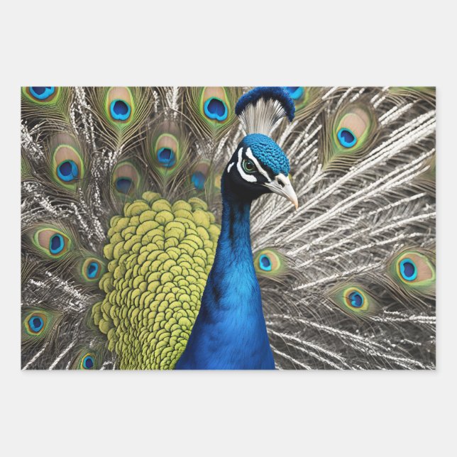 Beautiful Peacock Wrapping Paper Sheet (Front)