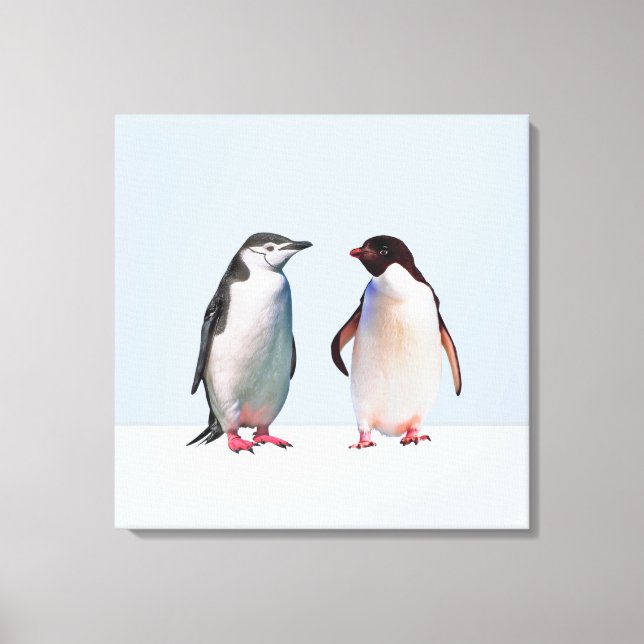 Beautiful  Penguin Couple on Light Periwinkle Blue Canvas Print (Front)