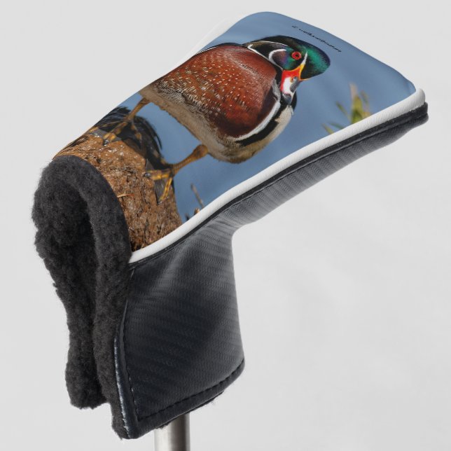 Beautiful Pensive Wood Duck in the Marsh Golf Head Cover (3/4 Front)
