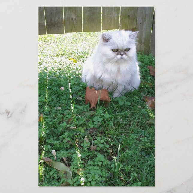 Beautiful Persian (Front)
