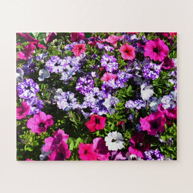 Beautiful petunia flowers jigsaw puzzle (Horizontal)