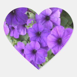 Beautiful Petunias Heart Sticker