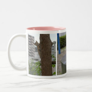 Beautiful Pheasant Girl Two-Tone Coffee Mug