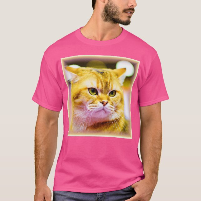 Beautiful Photo of a Cute Cat . Buy Now T-Shirt (Front)