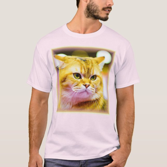 Beautiful Photo of a Cute Cat . Buy Now T-Shirt (Front)