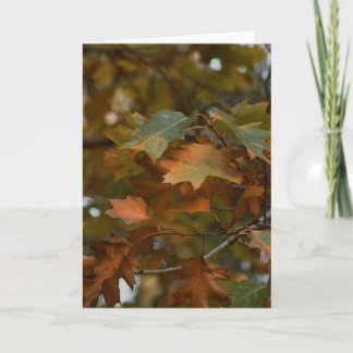 Beautiful photography foliage blank card