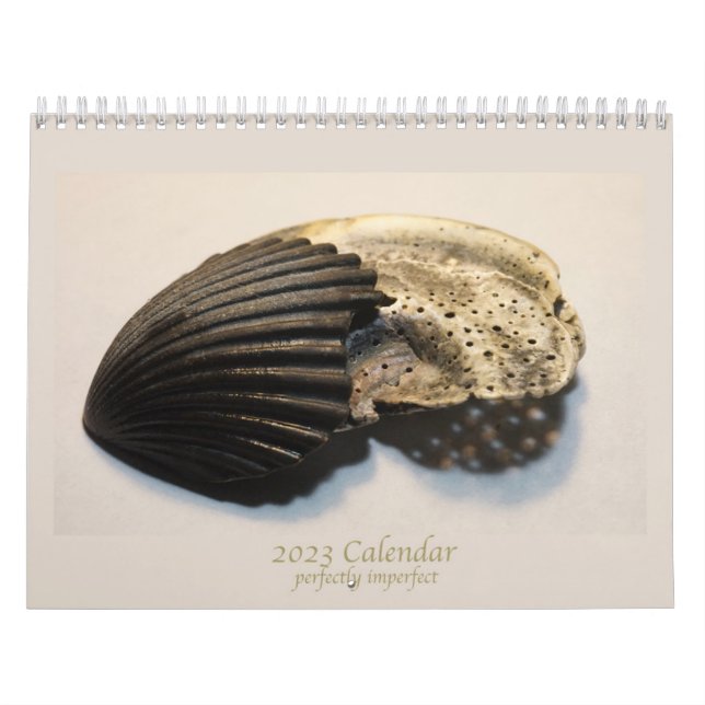 Beautiful photos of broken shells calendar (Cover)