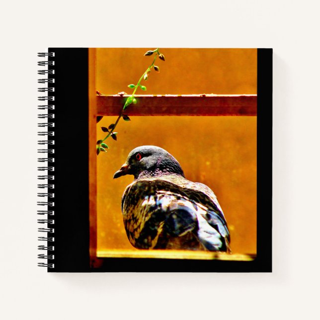 Beautiful Pigeon Notebook (Front)