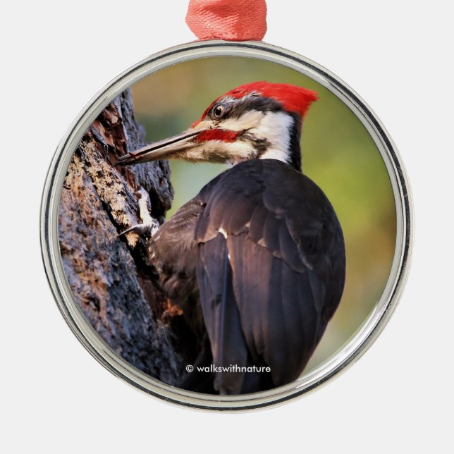 Beautiful Pileated Woodpecker on the Tree Metal Tree Decoration (Front)