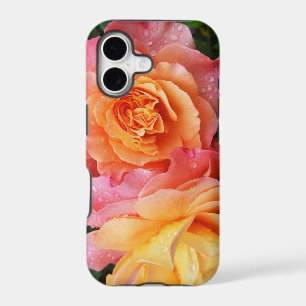 Beautiful pink and orannge rose photo