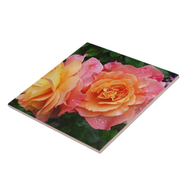 Beautiful pink and orannge rose photo tile (Side)