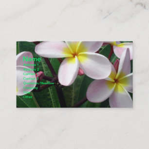 Beautiful Pink and Yellow Plumeria Business Card