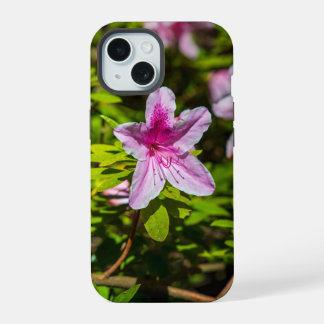 beautiful pink azalea flowers at Descanso Gardens iPhone 15 Case
