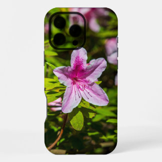 beautiful pink azalea flowers at Descanso Gardens  iPhone 16 Pro Max Case