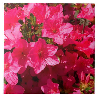 Beautiful Pink Azalea Flowers Tiles
