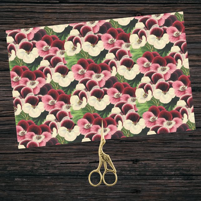 Beautiful Pink Burgundy Cream Geranium Botanical  Tissue Paper (Creator Uploaded)