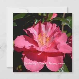 beautiful pink camellia flower all party invitation