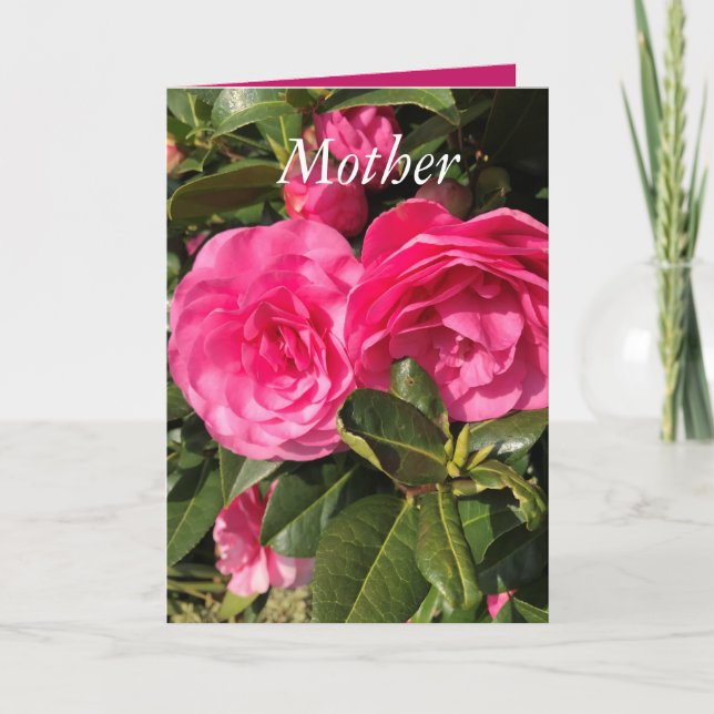 Beautiful Pink Camellia Mother's Day Holiday Card (Front)