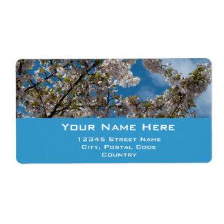 beautiful pink cherry flowers in blue sky