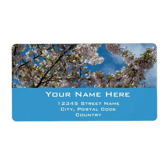 beautiful  pink cherry flowers in blue sky (Front)