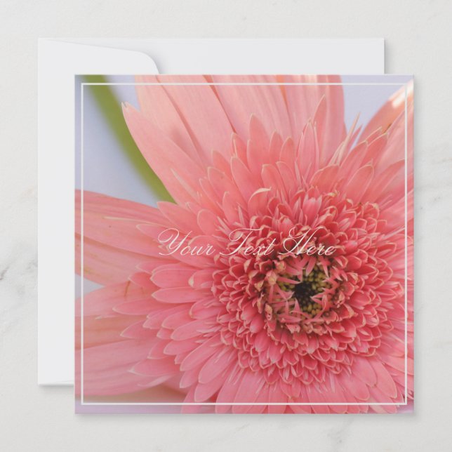 Beautiful Pink Chrysanthemum Your Text Flat Card (Front)