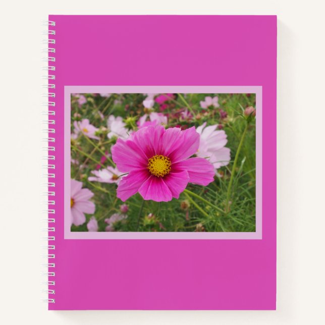 Beautiful Pink Cosmos Flower Notebook (Front)