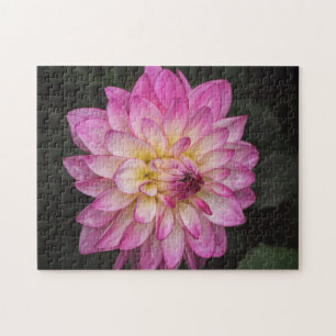 Beautiful Pink Dahlia Flower Puzzle