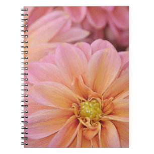 Beautiful pink dahlia flowers spiral notebook