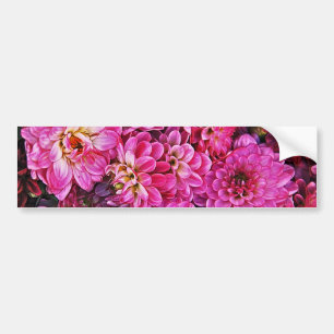 Beautiful pink dahlias bumper sticker