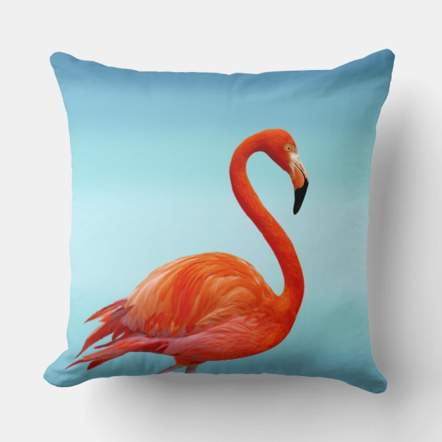 Beautiful Pink Flamingo on Light Sky Blue Cushion (Front)