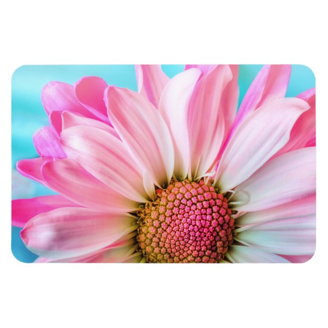 Beautiful Pink Flower Close Up Photo Magnet (Horizontal)