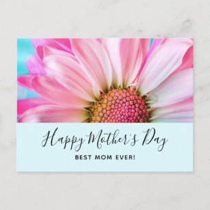 Beautiful Pink Flower Close Up Photo Mother's Day Holiday Postcard